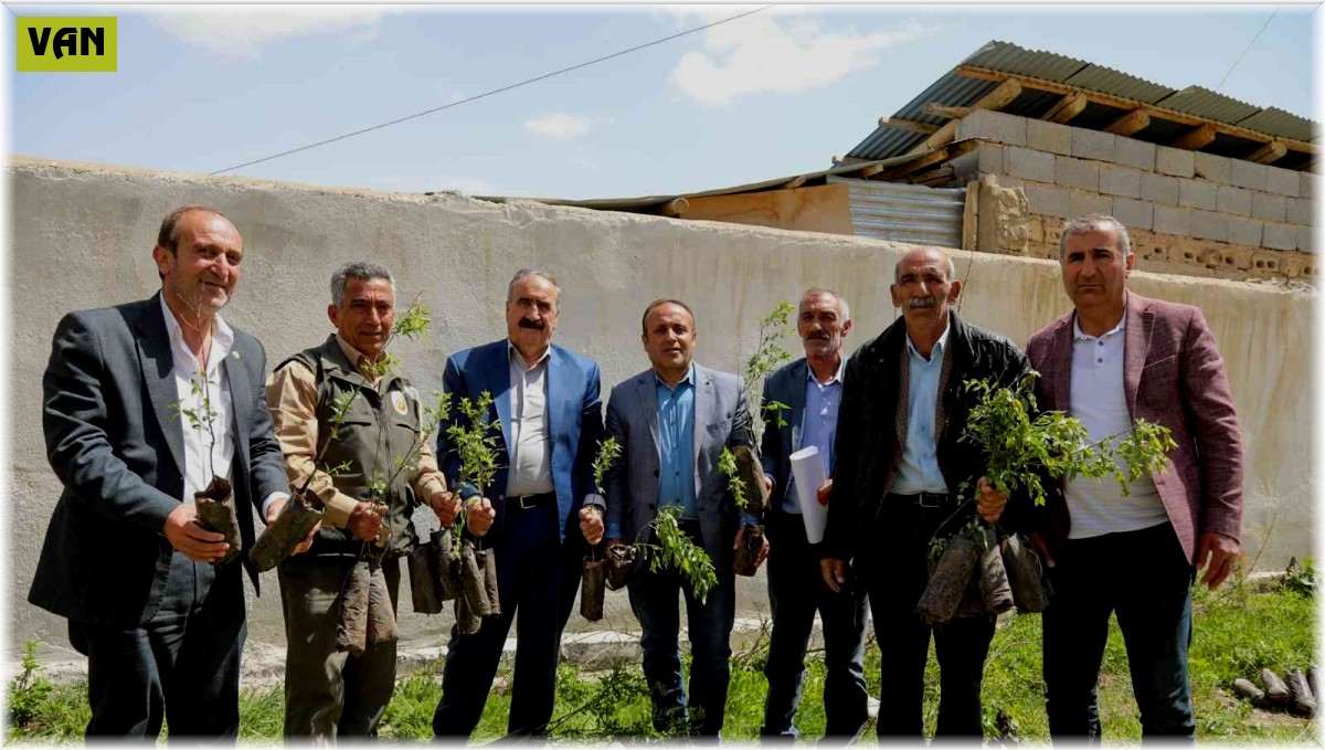 Başkale'de 4 bin badem fidanı dağıtıldı