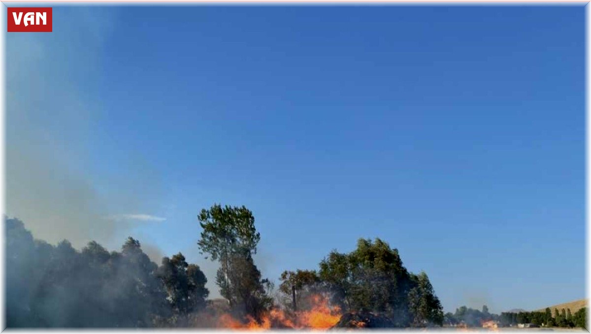 Başkale'de 4 bin bağ ot kül oldu