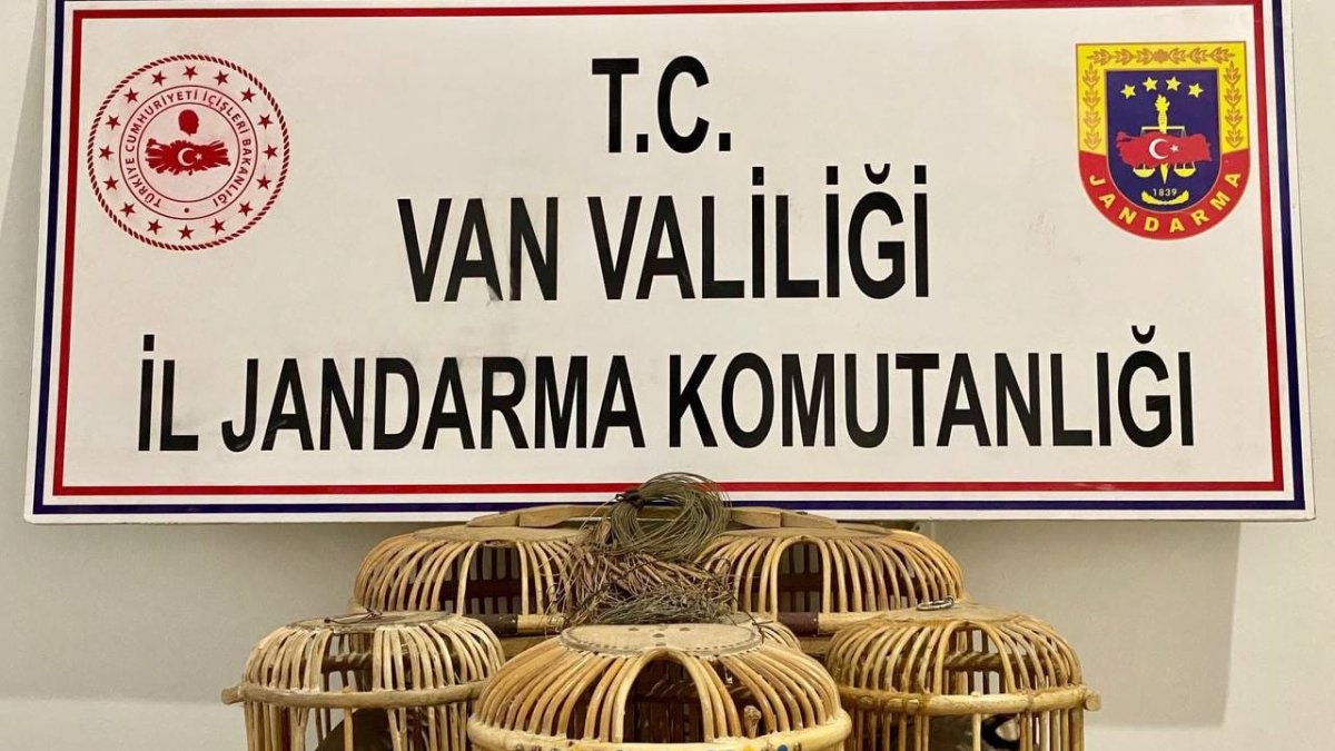 Başkale'de 5 adet canlı keklik yakalandı