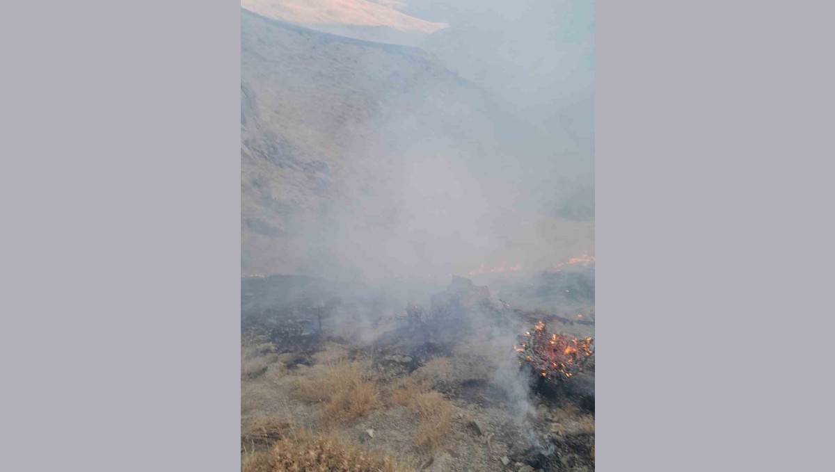 Başkale'de anız yangını