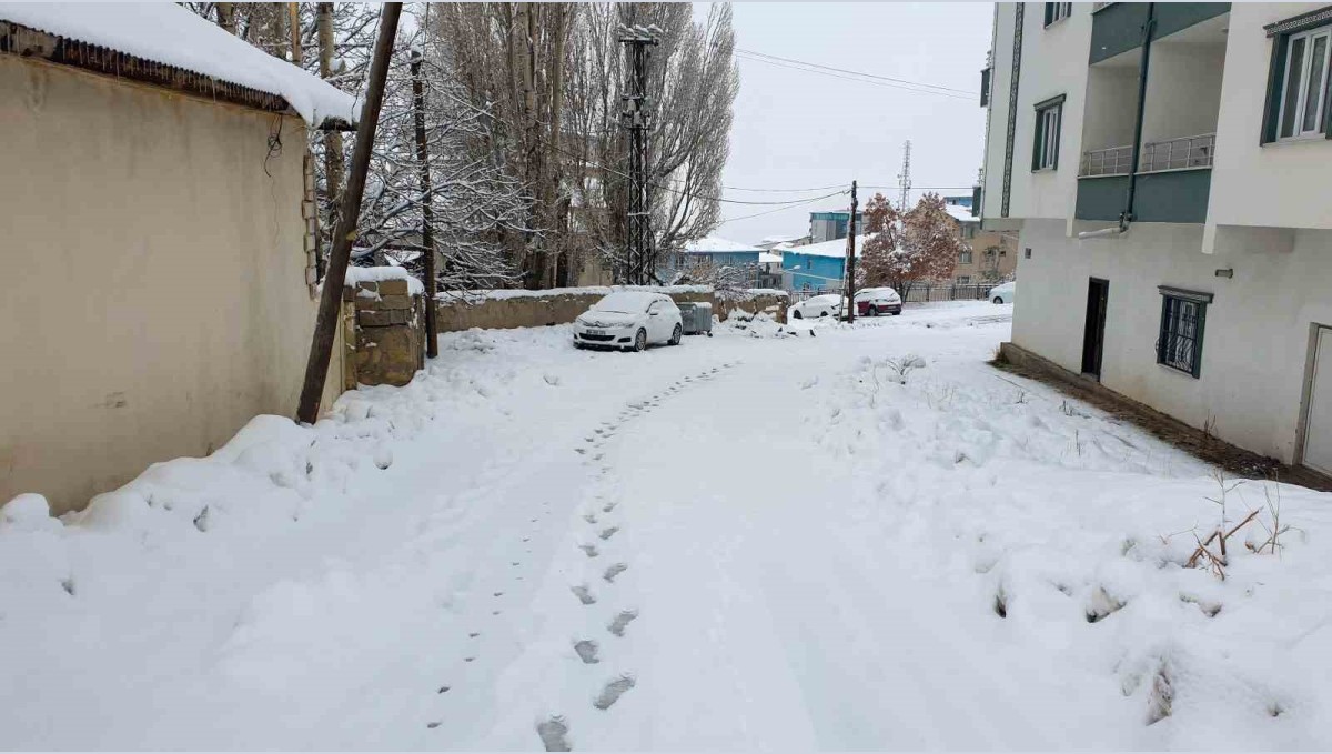 Başkale'de kar etkili oldu