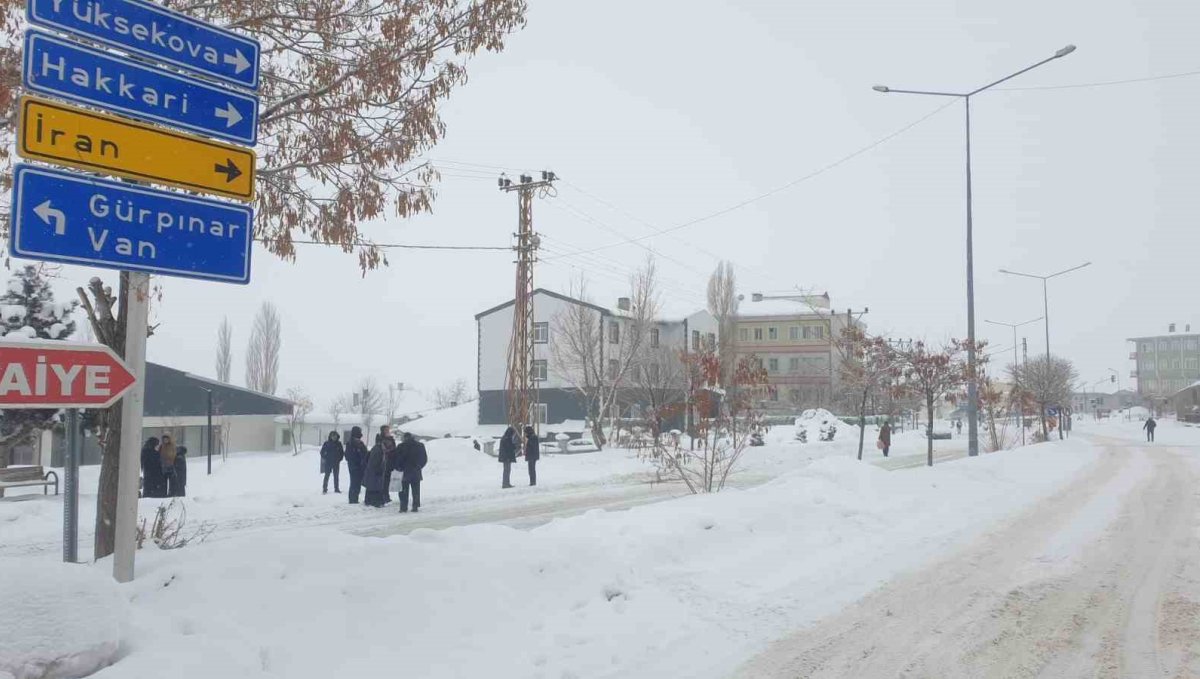 Başkale'de kar yağışı