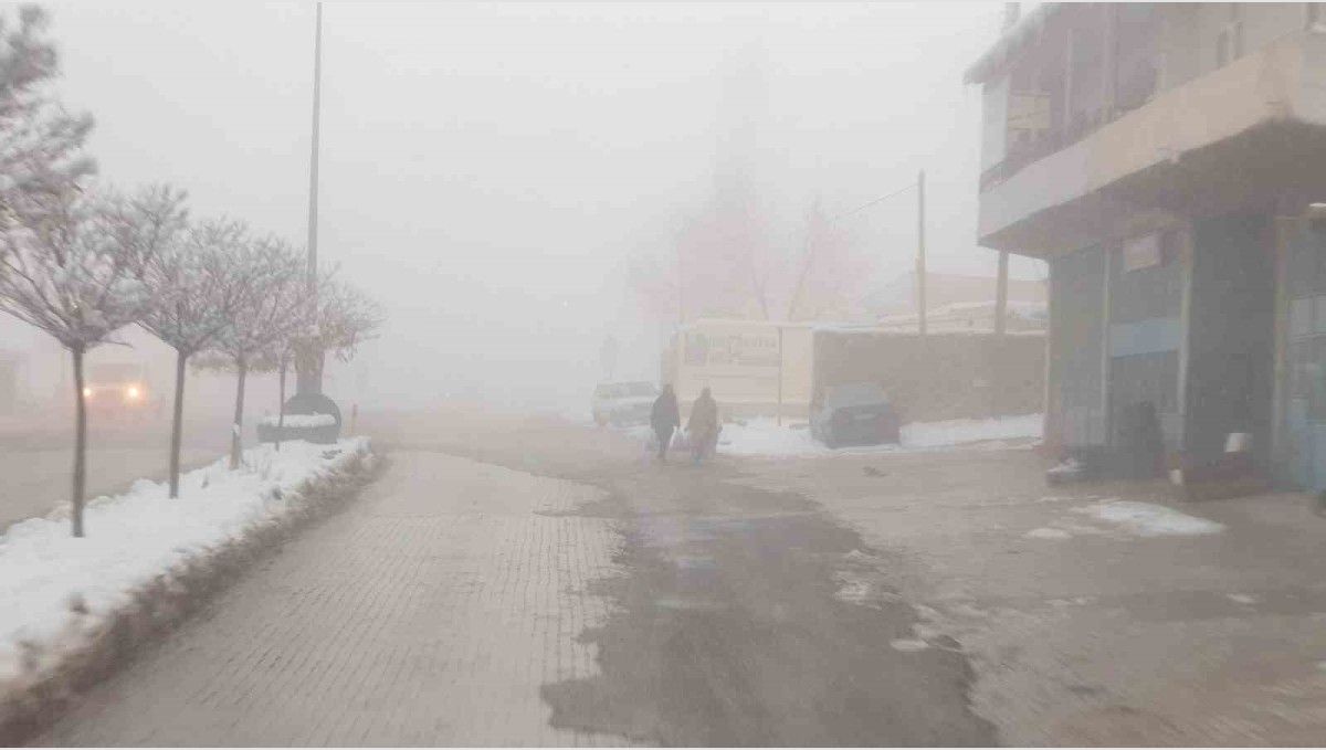 Başkale'de sis etkili oldu