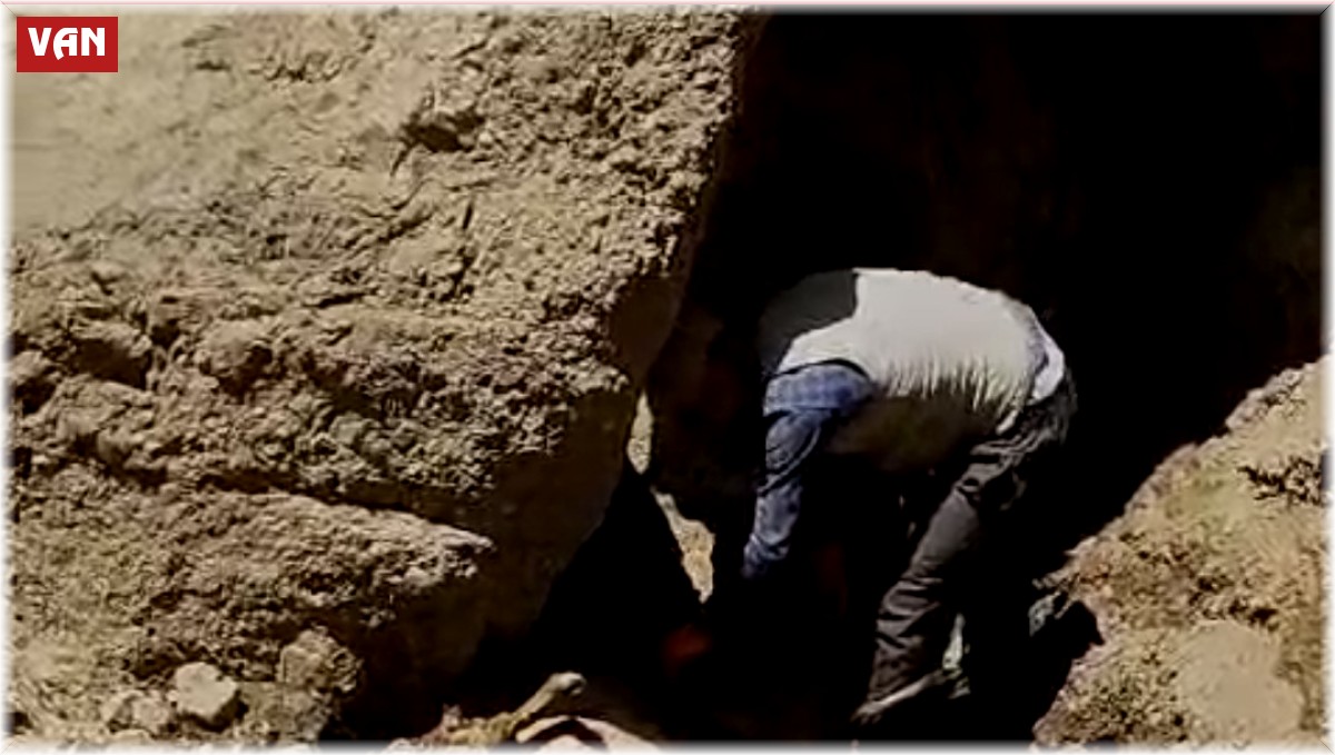 Başkale'de uçuruma atlayan 28 koyun telef oldu