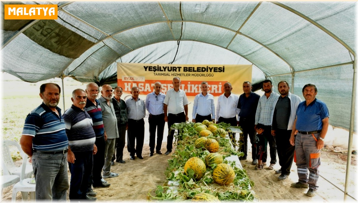 Başkan Çınar, kavun hasadına katıldı
