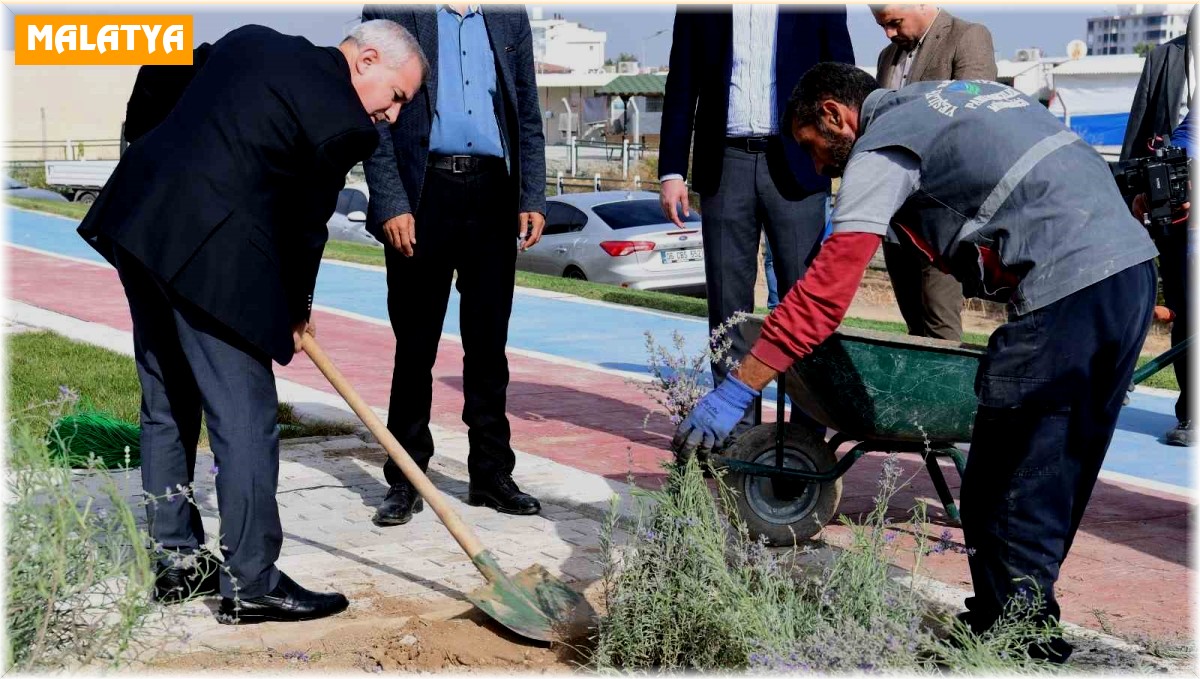 Başkan Çınar, Lavanta bahçelerini inceledi