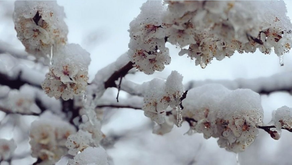 Başkan Er: "Gönlümüzü yakan bir manzarayla karşı karşıyayız"