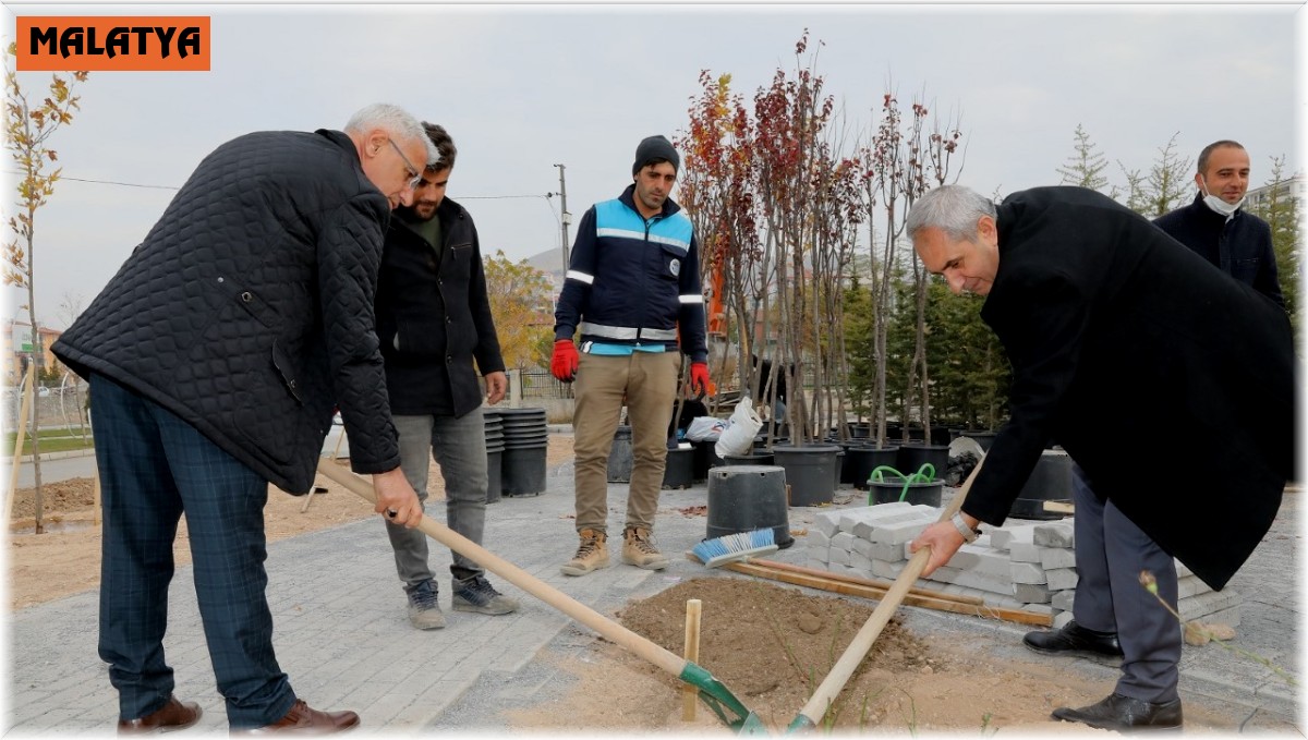Başkan Güder gül fidanı dikti