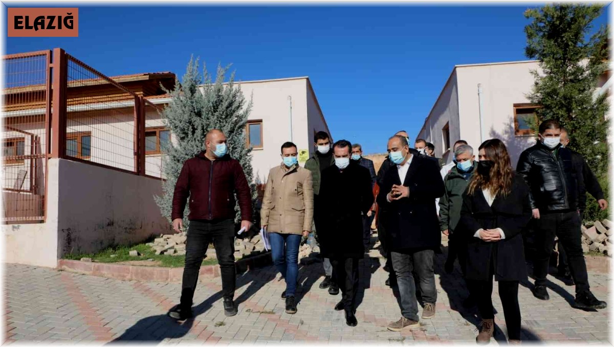 Başkan Şerifoğulları: "Her canlının yaşam hakkına sonuna kadar sahip çıkmak bizim ana prensibimizdir"