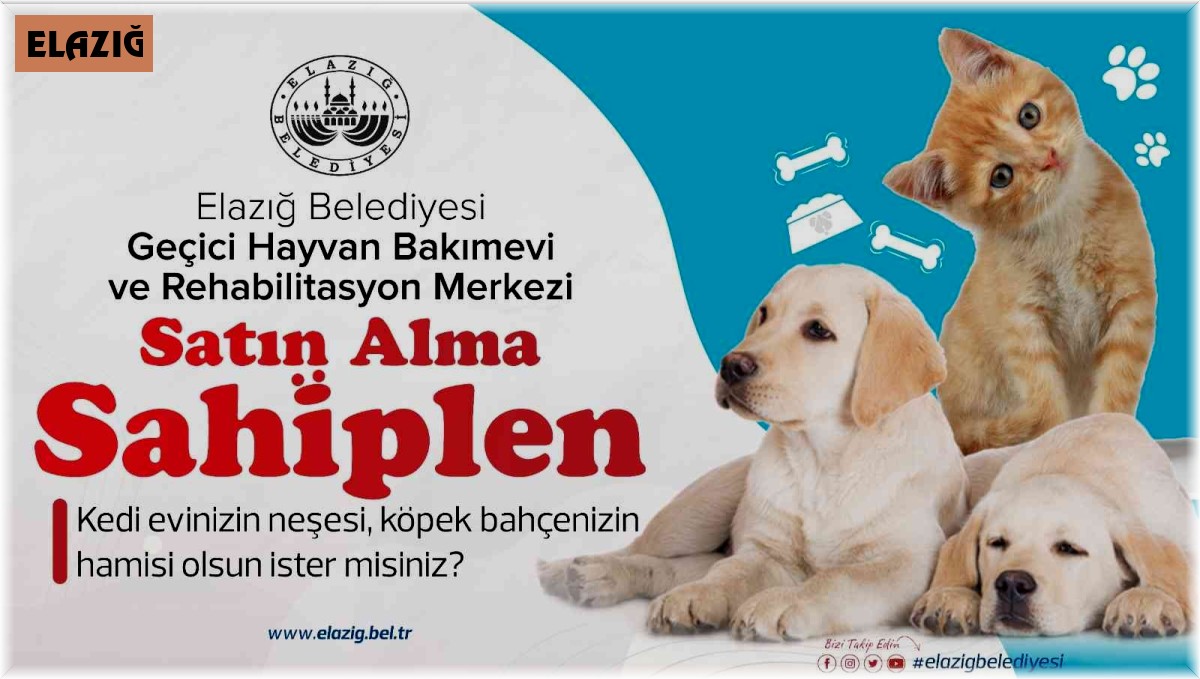 Başkan Şerifoğulları, "Şehrimizde yaşayan her canlının huzurunu tesis etmek bizlerin en asli görevidir"