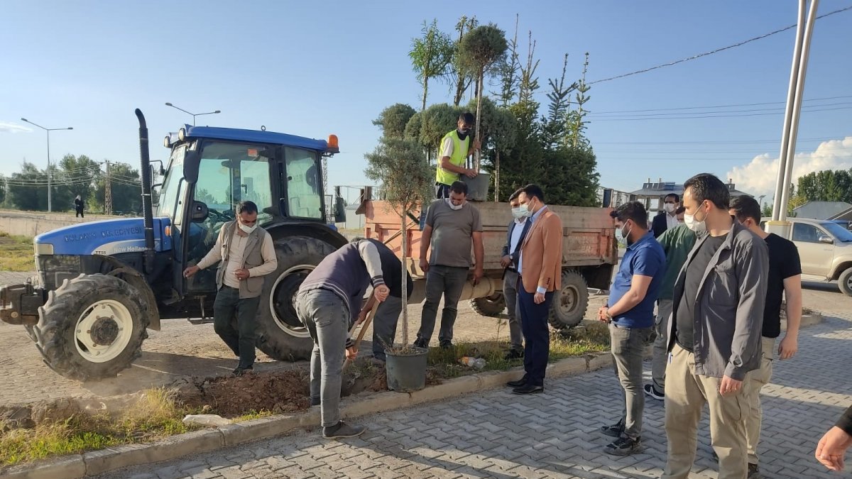Başkan Vekili İlidi: "2021 yılında 300 bin metrekare parke döşeyeceğiz"