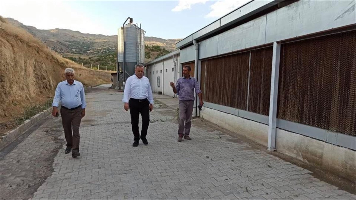Baskil Belediye Başkanı Akmurat, TKDK yatırımı inceledi