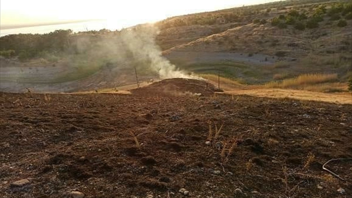 Baskil'de ceviz ekili alan yandı