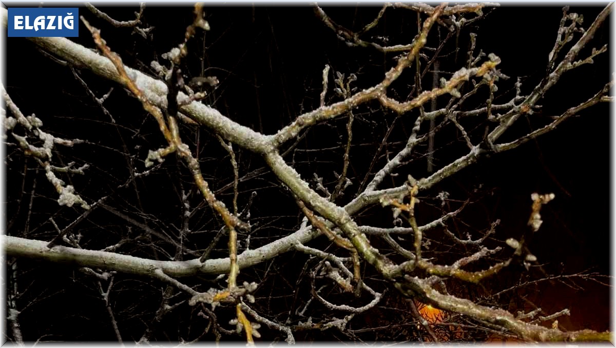 Baskil ilçesinde kar yağışı etkili oldu