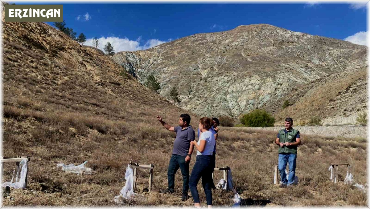 Başpınar köyüne 100 bin tuz çalısı dikilecek