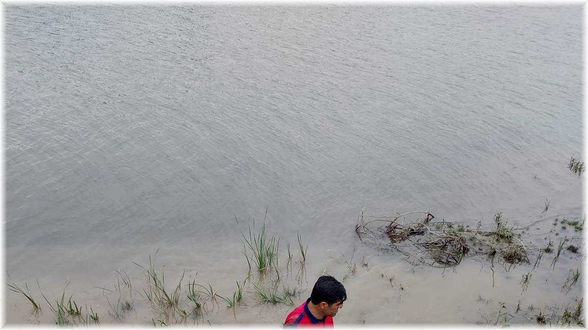 Bataklığa saplanan ineği itfaiye ekipleri kurtardı