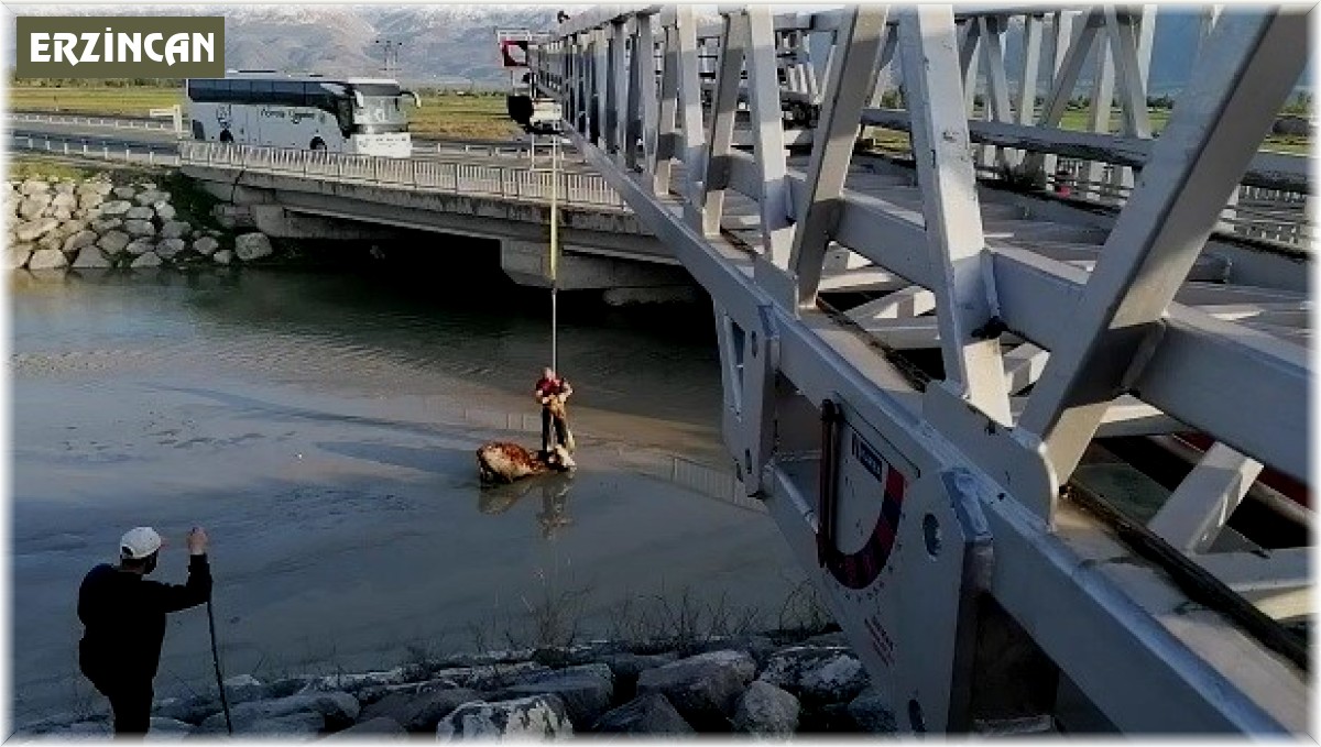 Bataklığa saplanan ineği itfaiye kurtardı