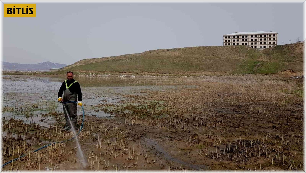 Bataklık alanlarda ilaçlama çalışması