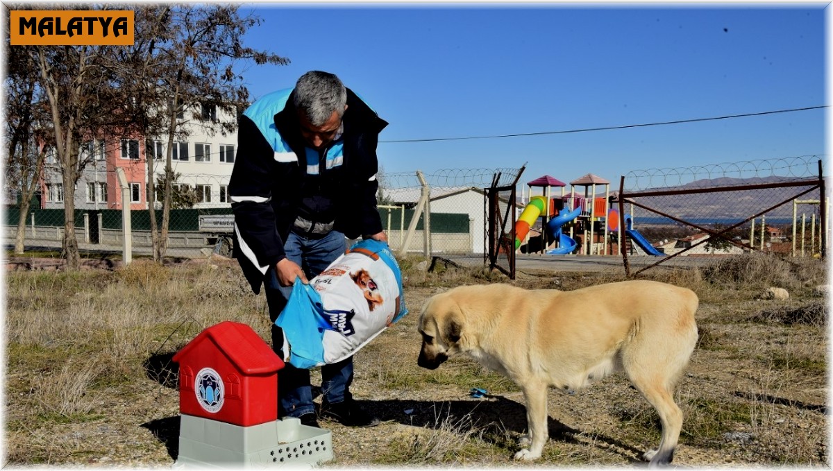Battalgazi'de can dostlar için 19 yeni besleme noktası