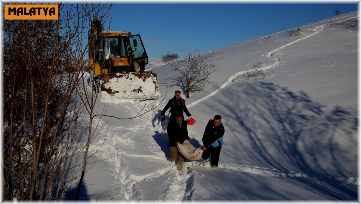 Battalgazi'de 'tavukları' telef olmaktan ekipler kurtardı