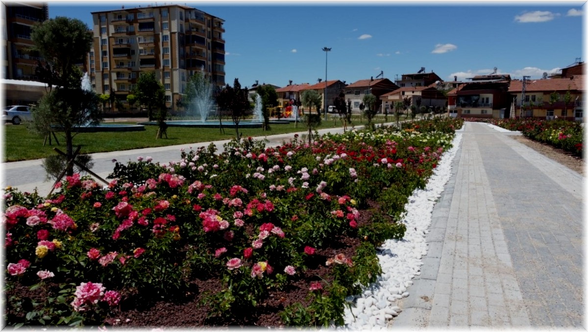 Battalgazi'deki gül bahçesinde sona yaklaşıldı