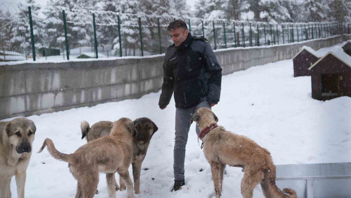 Battalgazi’de sahipsiz hayvanlar için yeni dönem: Malatya’nın ikinci barınağı hizmette