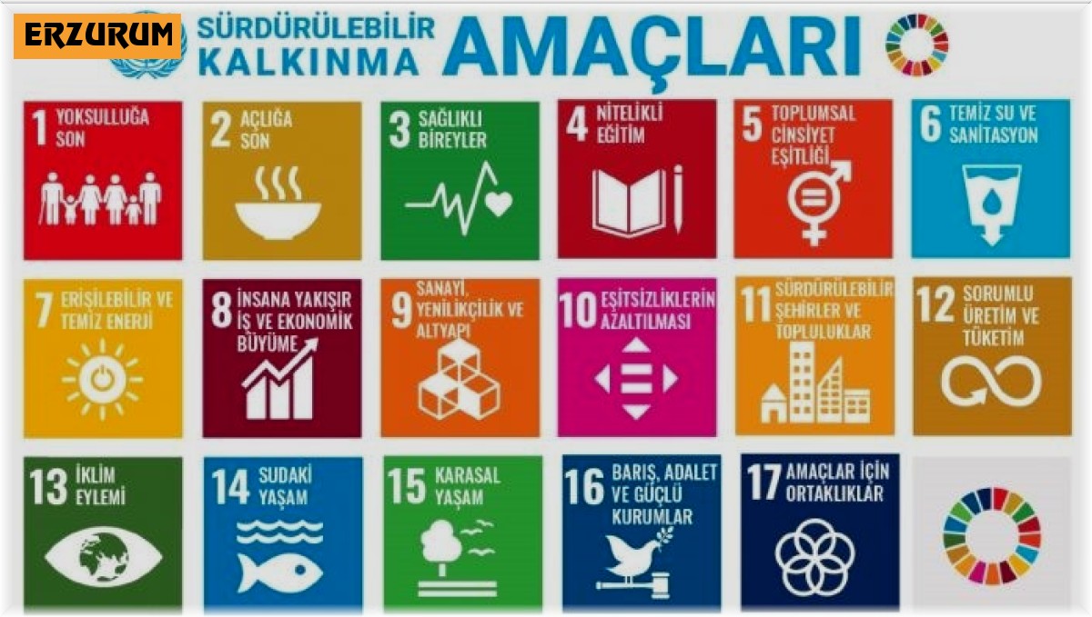 Bayraktar: "Sürdürülebilir turizm haftası olsun"