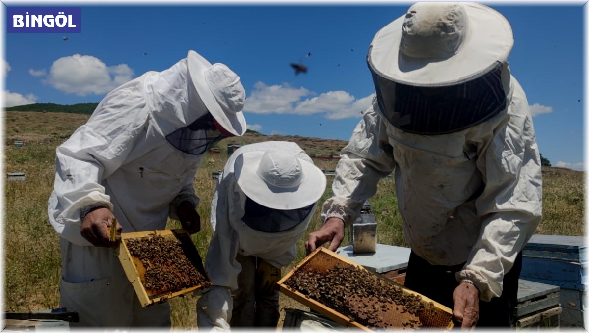 Bayramı aileleri yerine arılarının yanında geçiriyorlar