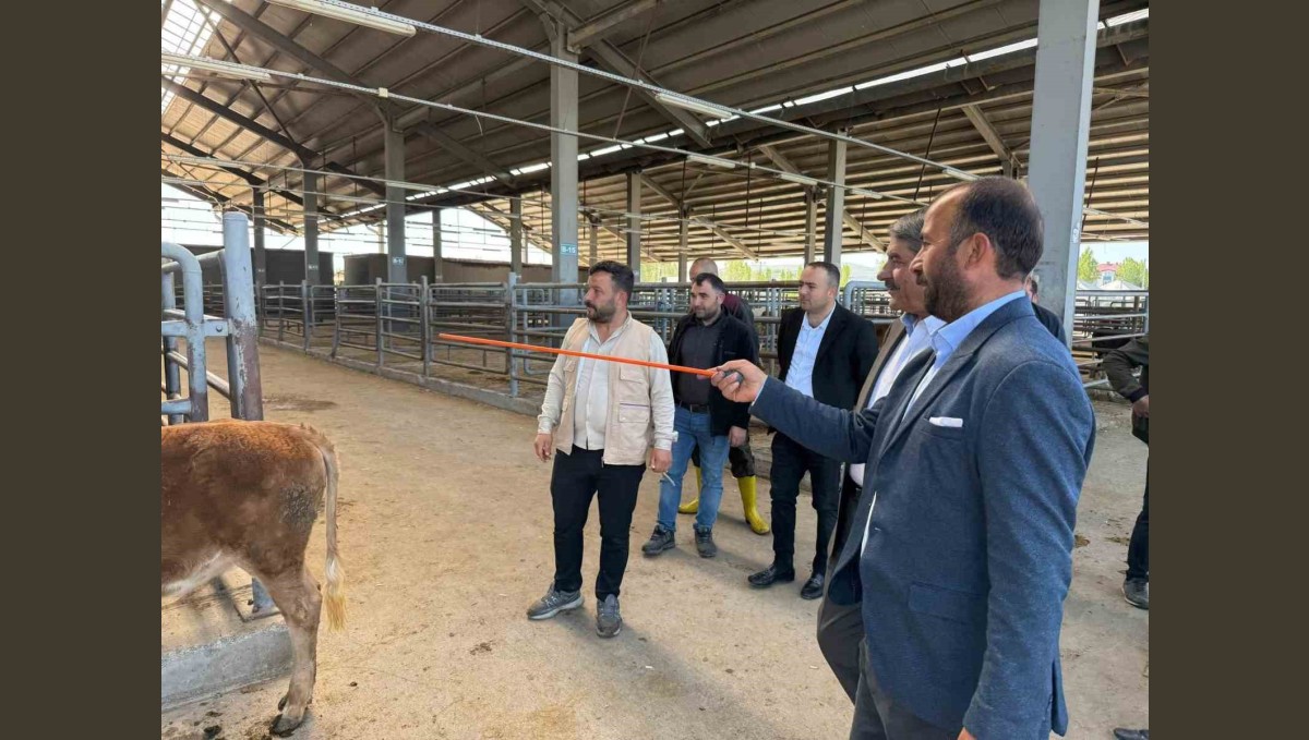 Belediye Başkanı canlı hayvan borsası ve et entegre tesisinde incelemelerde bulundu.