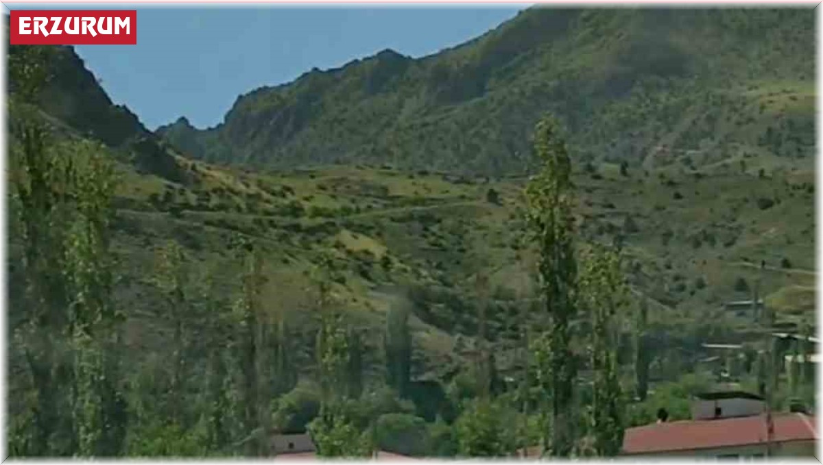 Belediye başkanından örnek davranış