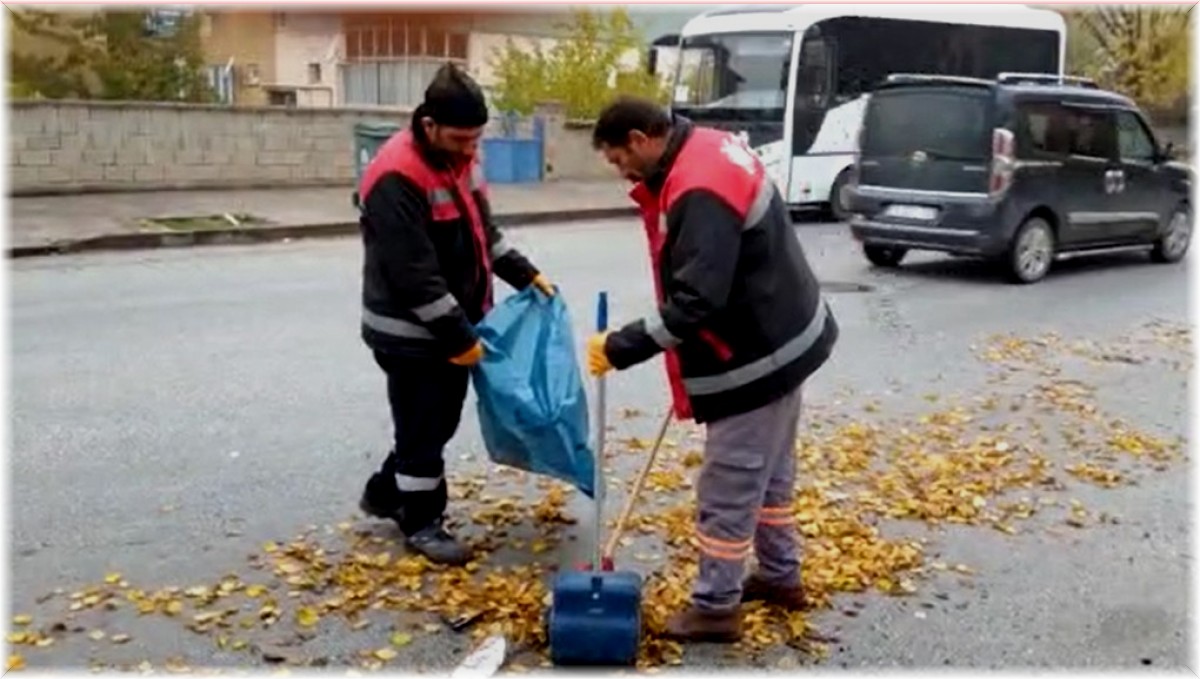 Belediye ekiplerinden sonbahar temizliği
