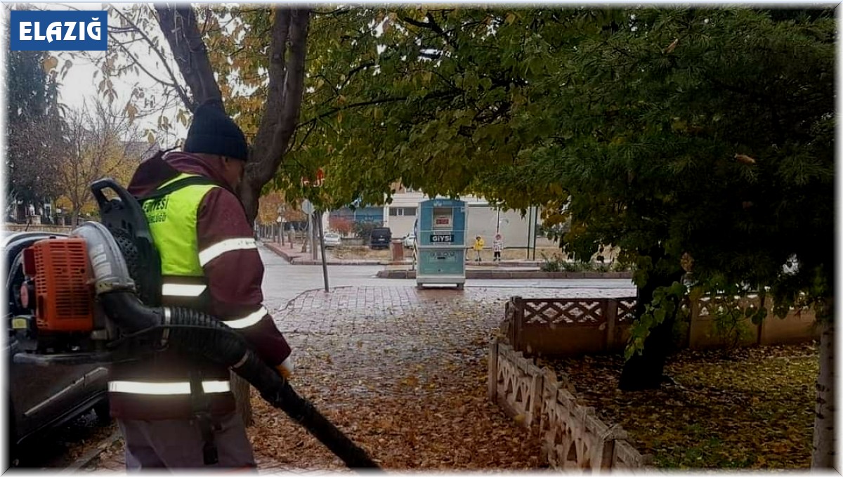 Belediye ekiplerinden yaprak üfleme makinesi ile sonbahar temizliği