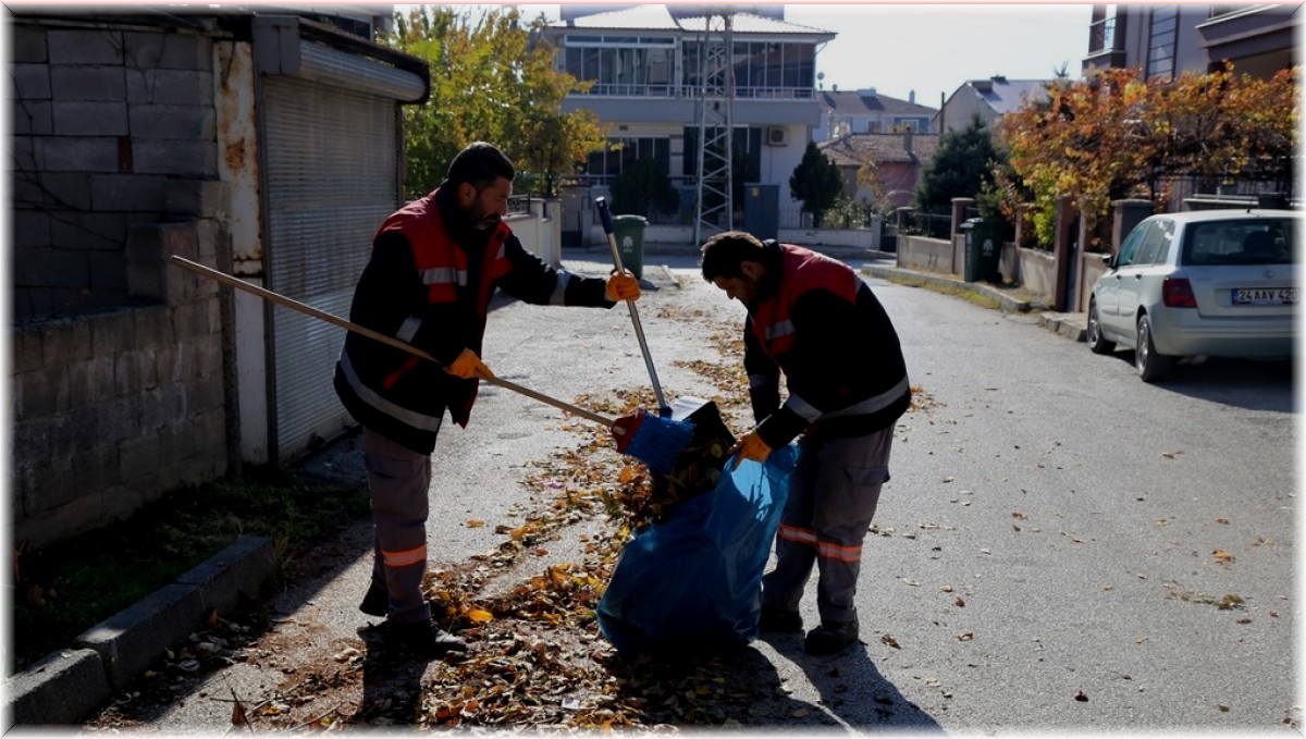 Belediyeden sonbahar temizliği