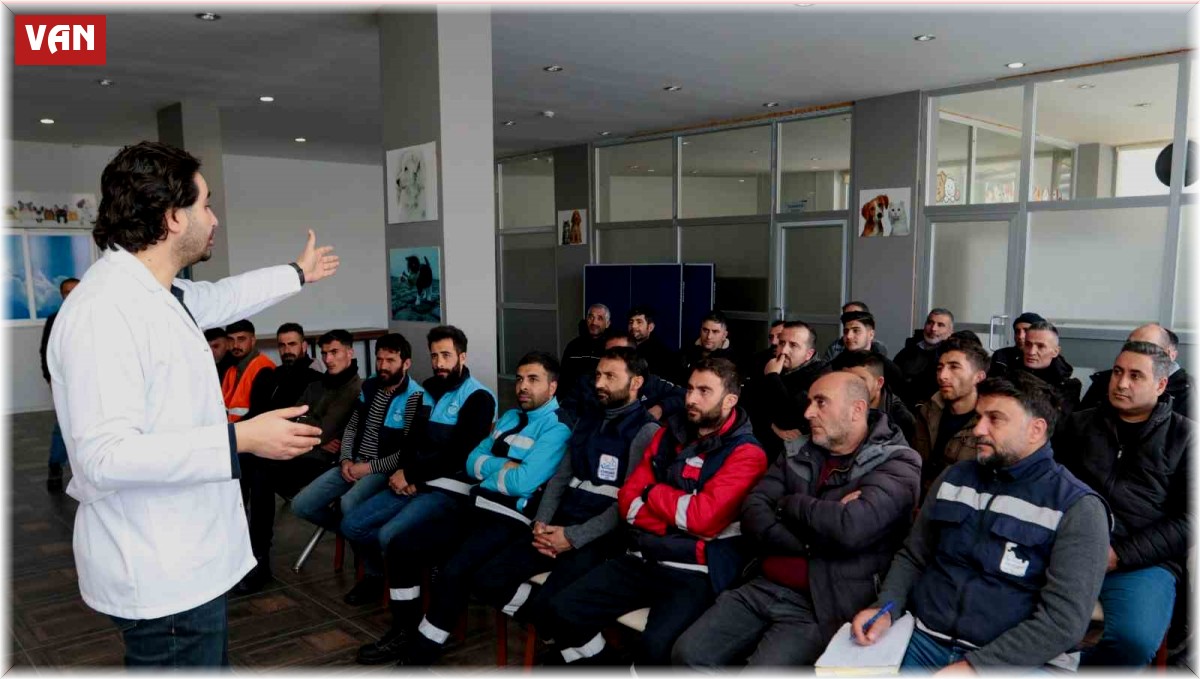 Belediyeler sokak hayvanları için toplandı