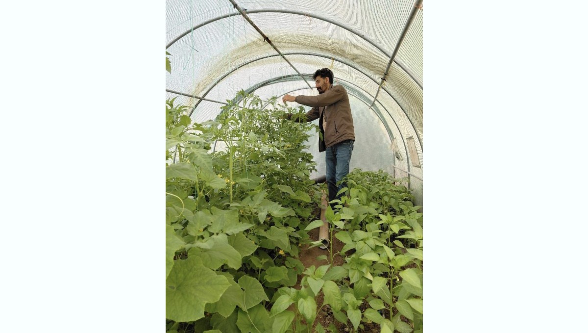 Berberlikten arta kalan zamanını doğaya ayırıyor