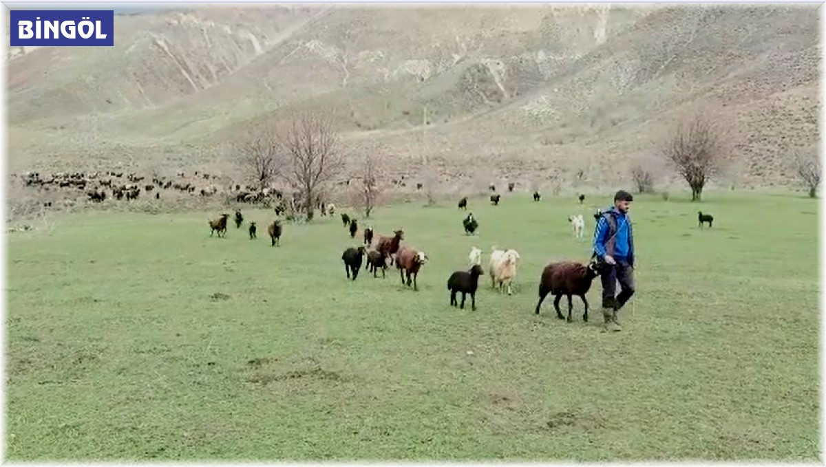 Besicilerin bayramda da mesaisi sürüyor