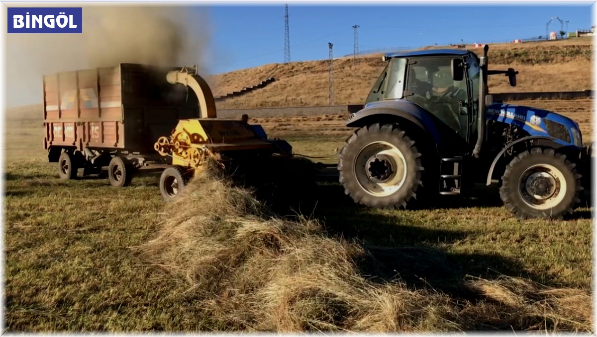 Besicilerin kışa hazırlık mesaisi