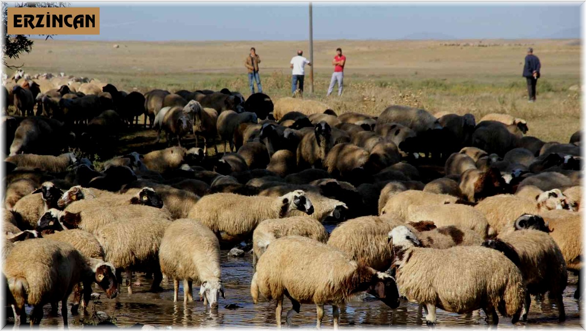 Besicilerin "mera" hasreti sona erdi