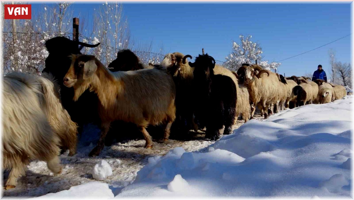 Besicilerin zorlu kış mesaisi başladı