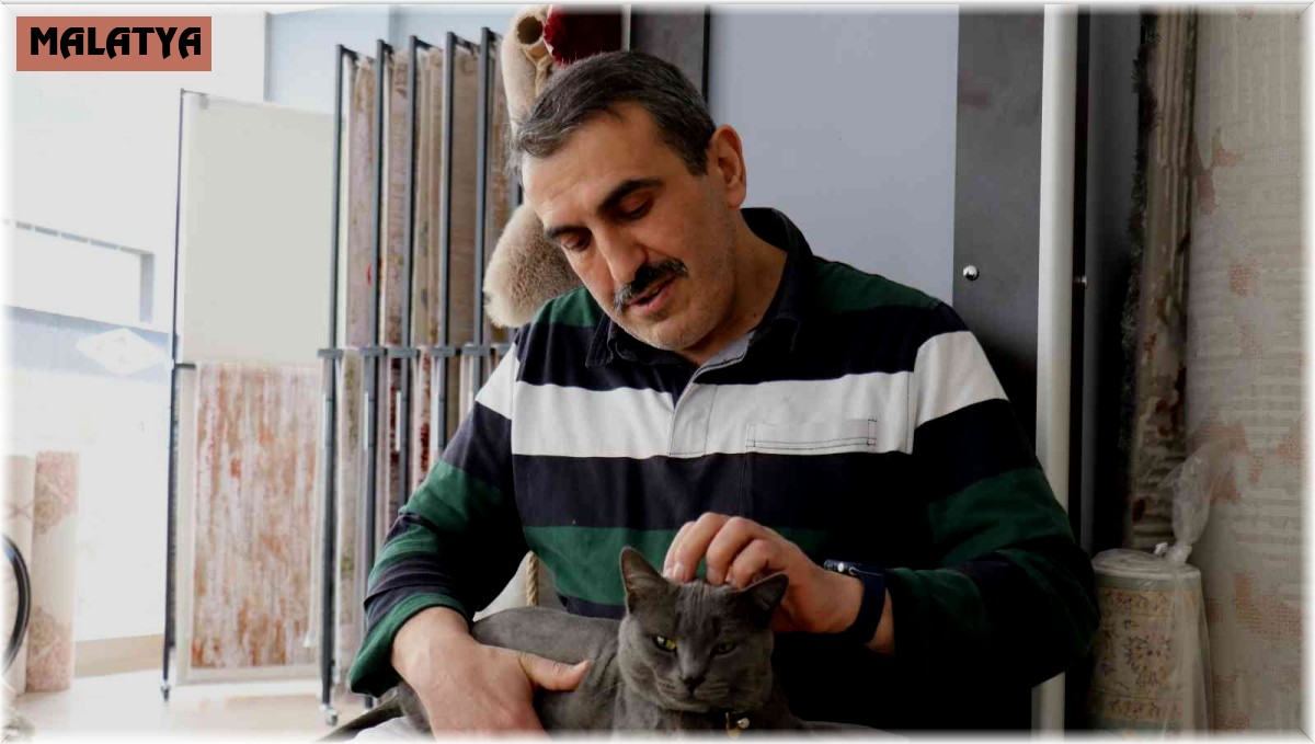 Beslemek için aldığı kedi can dostu oldu