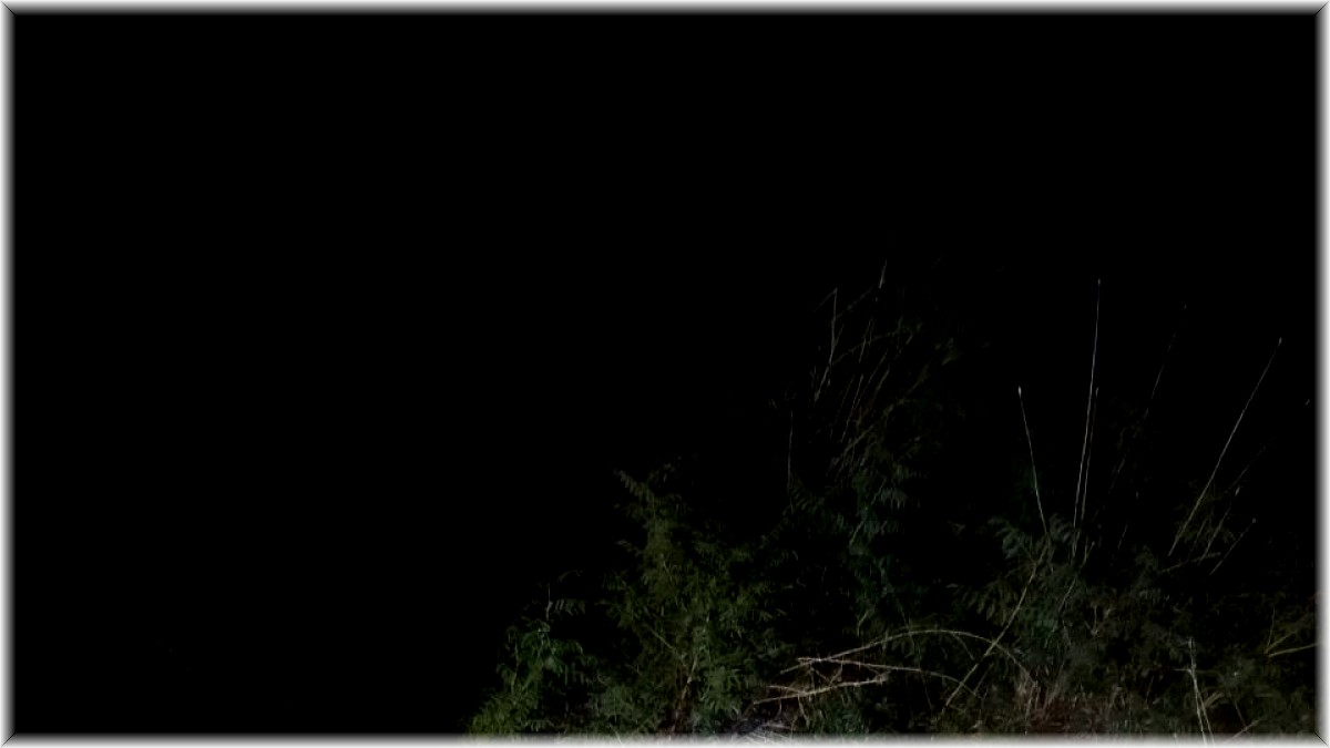 Bıldırcın avlarında kullanılan ses cihazları ele geçirildi