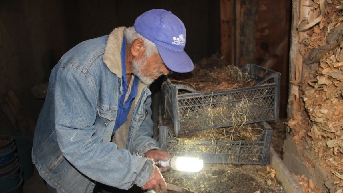 Bin taneden 100 milyon üretti, gübresini ücretsiz dağıtıyor