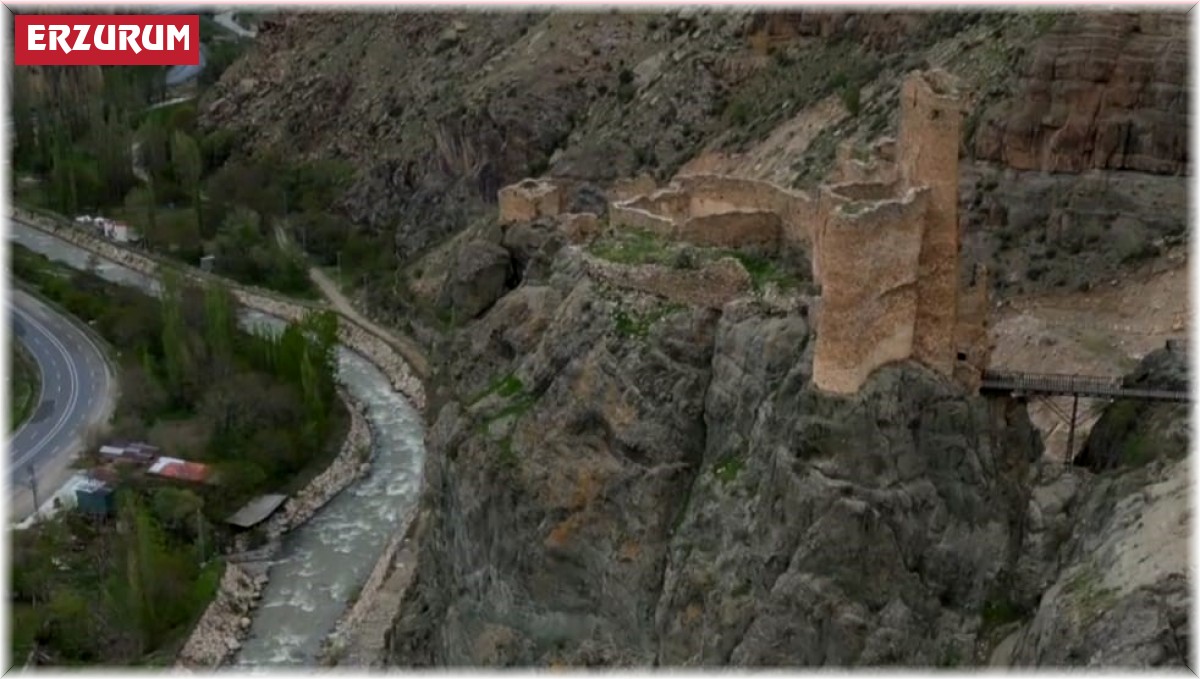 Bin yaşında ama halen ayakta