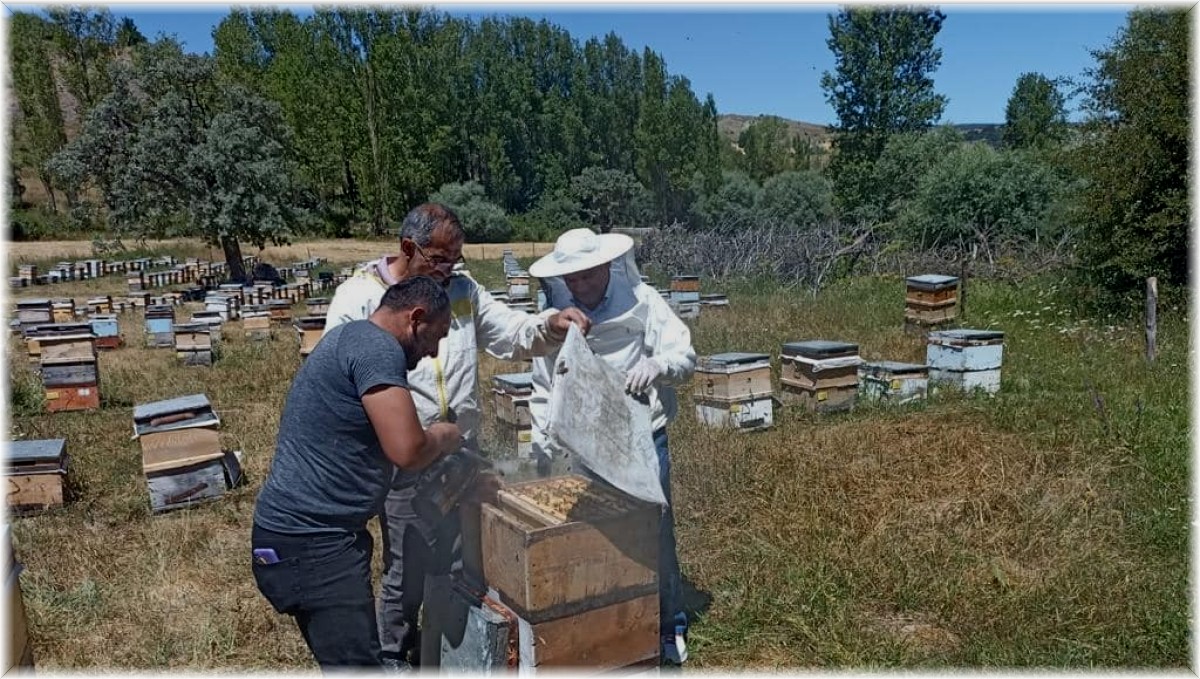 Binali Yıldırım memleketi Refahiye'de sezonun ilk bal hasadına katıldı
