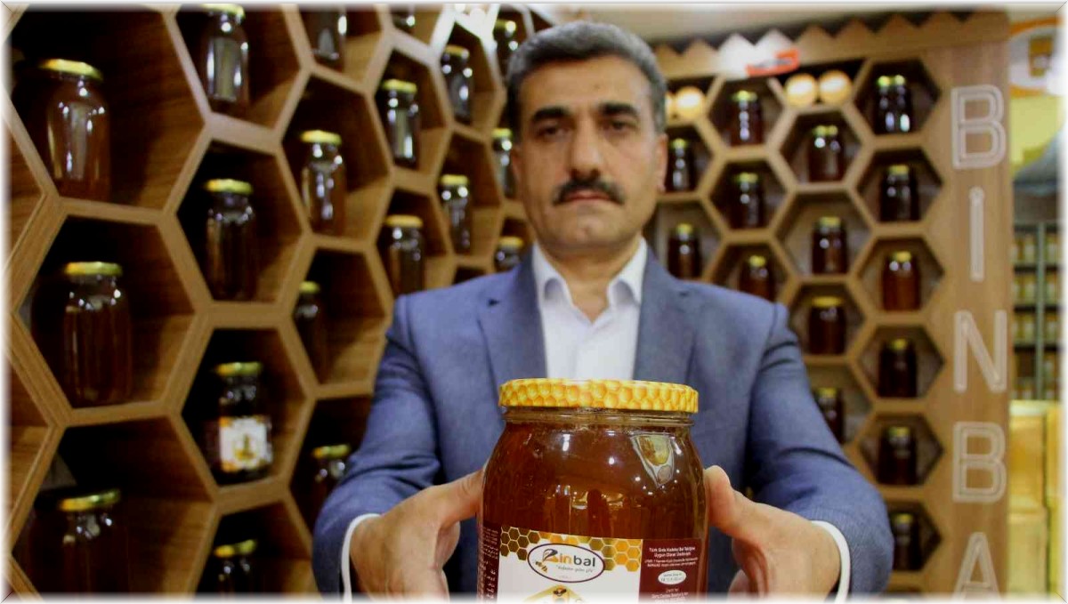 Bingöl balına İngiltere'de altın madalya