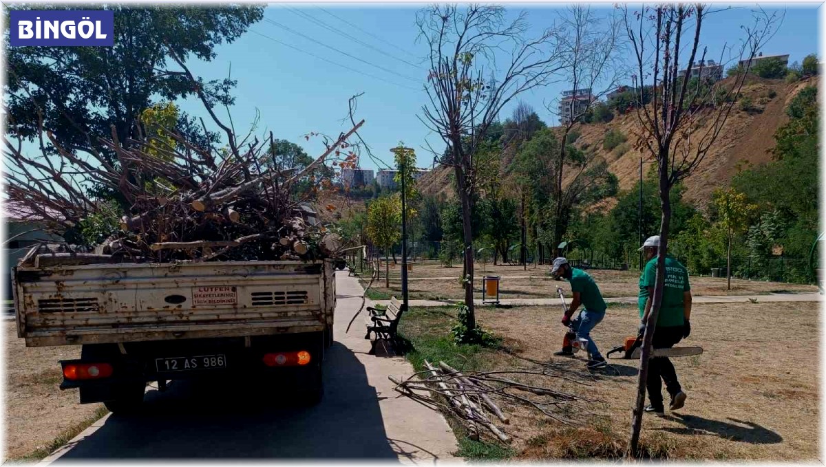 Bingöl Belediyesi, park ve bahçelerde bakım onarım çalışması başlattı