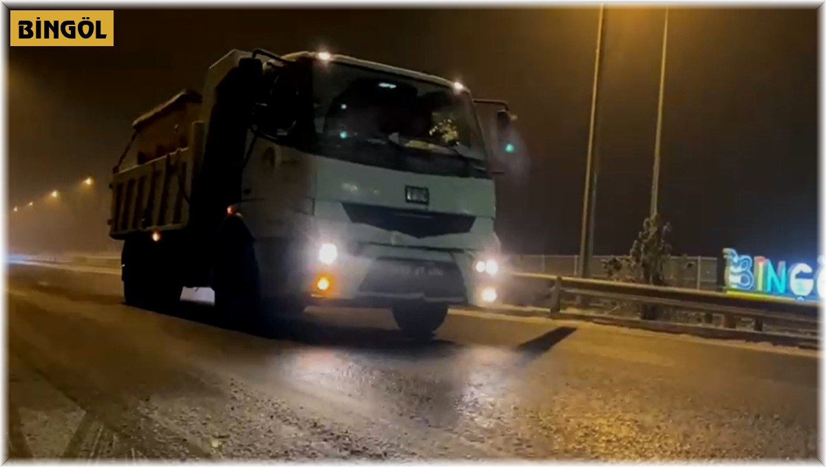 Bingöl Belediyesi tuzlama çalışması yaptı