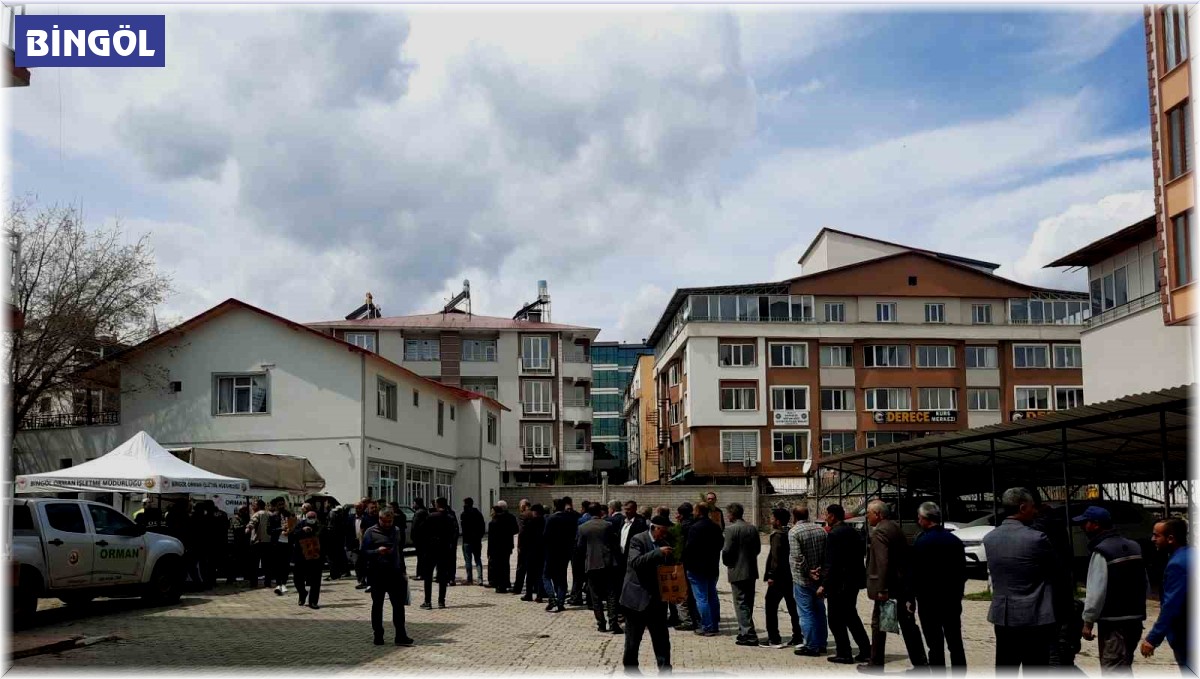 Bingöl'de 10 bin fidan dağıtıldı