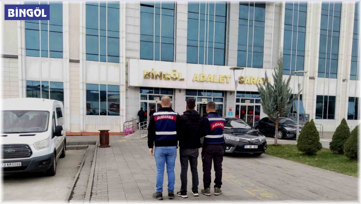 Bingöl'de 10 yıl kesinleşmiş hapis cezası bulunan zanlı yakalandı