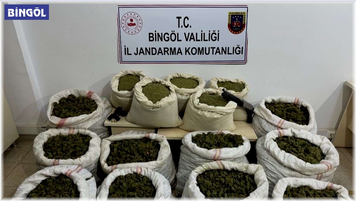 Bingöl'de 11 milyon kök kenevir ve 163 kilo toz esrar ele geçirildi